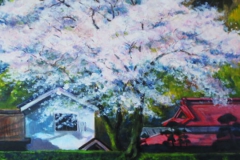 真盛る桜樹（油彩、F8 455×380cm、￥60,000 額なし）